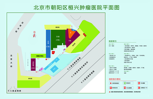 人妖干逼网北京市朝阳区桓兴肿瘤医院平面图